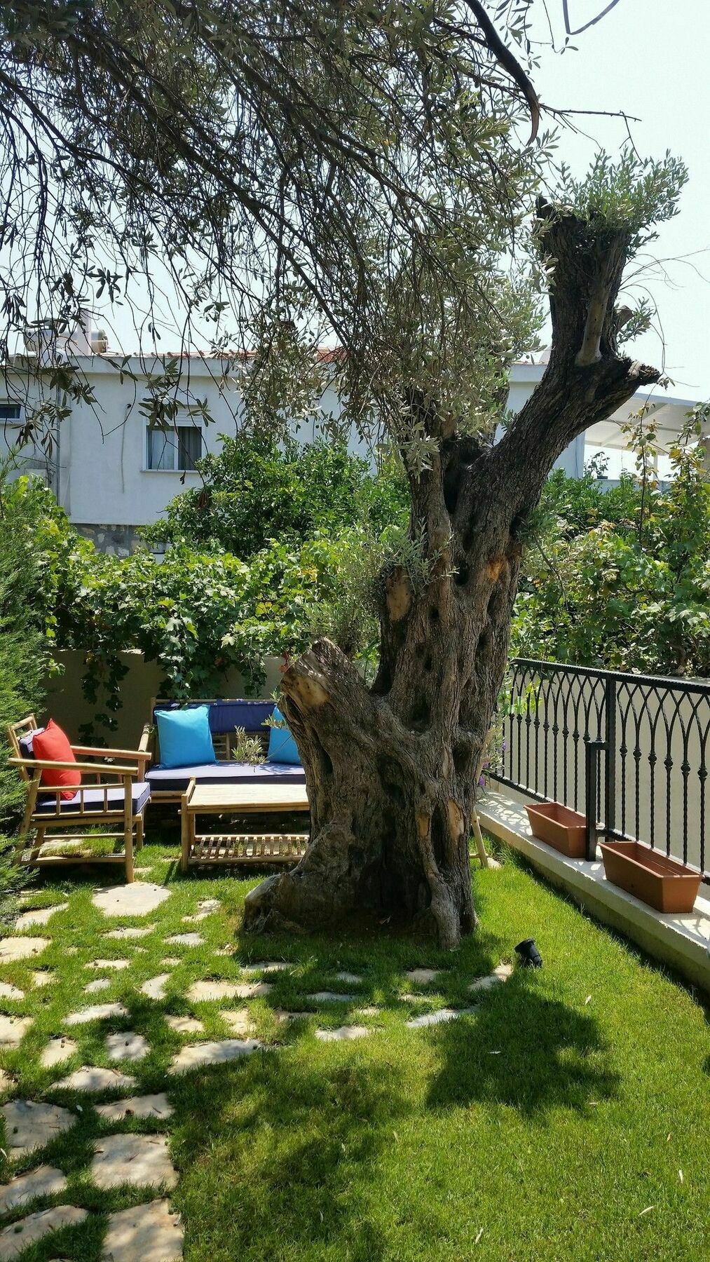 Cassiopeia Hotel ألاتشاتي المظهر الخارجي الصورة