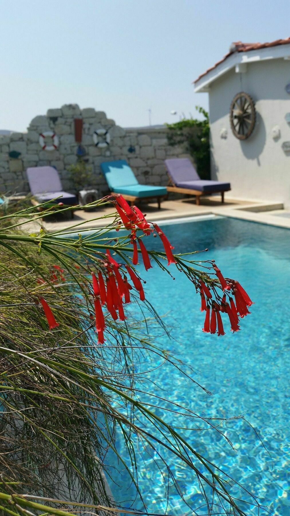 Cassiopeia Hotel ألاتشاتي المظهر الخارجي الصورة